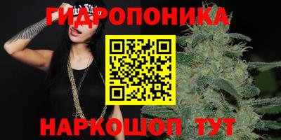 круглые Новодвинск
