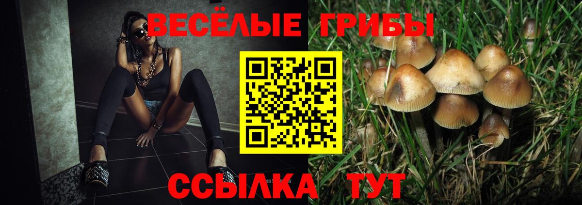 Псилоцибиновые грибы MAGIC MUSHROOMS  Вход с VPN  Ртищево  Галлюциногенные грибы Psilocybe 